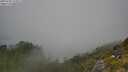 ./images/calvert/foggy-cove/20250730/foggy-cove20250730_122011M.jpg