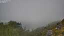 ./images/calvert/foggy-cove/20250730/foggy-cove20250730_122510M.jpg