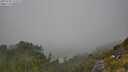 ./images/calvert/foggy-cove/20250730/foggy-cove20250730_123509M.jpg