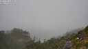 ./images/calvert/foggy-cove/20250730/foggy-cove20250730_124010M.jpg