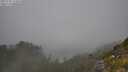 ./images/calvert/foggy-cove/20250730/foggy-cove20250730_124508M.jpg
