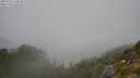 ./images/calvert/foggy-cove/20250730/foggy-cove20250730_130508M.jpg