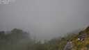 ./images/calvert/foggy-cove/20250730/foggy-cove20250730_133509M.jpg