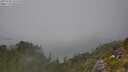 ./images/calvert/foggy-cove/20250730/foggy-cove20250730_135510M.jpg