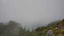 ./images/calvert/foggy-cove/20250730/foggy-cove20250730_140011M.jpg
