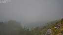 ./images/calvert/foggy-cove/20250730/foggy-cove20250730_141010M.jpg