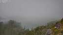 ./images/calvert/foggy-cove/20250730/foggy-cove20250730_143008M.jpg