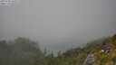 ./images/calvert/foggy-cove/20250730/foggy-cove20250730_144509M.jpg