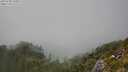 ./images/calvert/foggy-cove/20250730/foggy-cove20250730_150010M.jpg