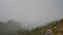 ./images/calvert/foggy-cove/20250730/foggy-cove20250730_150509M.jpg