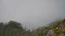 ./images/calvert/foggy-cove/20250730/foggy-cove20250730_151010M.jpg