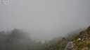 ./images/calvert/foggy-cove/20250730/foggy-cove20250730_151509M.jpg