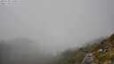 ./images/calvert/foggy-cove/20250730/foggy-cove20250730_152011M.jpg