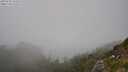 ./images/calvert/foggy-cove/20250730/foggy-cove20250730_152509M.jpg