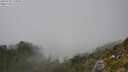 ./images/calvert/foggy-cove/20250730/foggy-cove20250730_153010M.jpg
