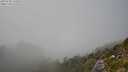./images/calvert/foggy-cove/20250730/foggy-cove20250730_153509M.jpg