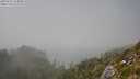 ./images/calvert/foggy-cove/20250730/foggy-cove20250730_154010M.jpg