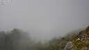 ./images/calvert/foggy-cove/20250730/foggy-cove20250730_154511M.jpg