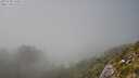 ./images/calvert/foggy-cove/20250730/foggy-cove20250730_155009M.jpg