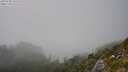 ./images/calvert/foggy-cove/20250730/foggy-cove20250730_155510M.jpg