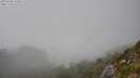 ./images/calvert/foggy-cove/20250730/foggy-cove20250730_160011M.jpg