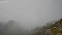 ./images/calvert/foggy-cove/20250730/foggy-cove20250730_160509M.jpg