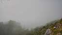 ./images/calvert/foggy-cove/20250730/foggy-cove20250730_161010M.jpg