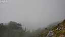./images/calvert/foggy-cove/20250730/foggy-cove20250730_161507M.jpg