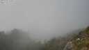 ./images/calvert/foggy-cove/20250730/foggy-cove20250730_162011M.jpg