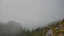 ./images/calvert/foggy-cove/20250730/foggy-cove20250730_162509M.jpg