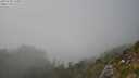 ./images/calvert/foggy-cove/20250730/foggy-cove20250730_163009M.jpg