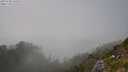./images/calvert/foggy-cove/20250730/foggy-cove20250730_163509M.jpg