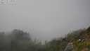 ./images/calvert/foggy-cove/20250730/foggy-cove20250730_164008M.jpg