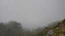 ./images/calvert/foggy-cove/20250730/foggy-cove20250730_164511M.jpg