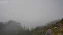 ./images/calvert/foggy-cove/20250730/foggy-cove20250730_165010M.jpg