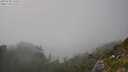 ./images/calvert/foggy-cove/20250730/foggy-cove20250730_165511M.jpg
