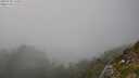 ./images/calvert/foggy-cove/20250730/foggy-cove20250730_171011M.jpg