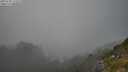 ./images/calvert/foggy-cove/20250730/foggy-cove20250730_172509M.jpg