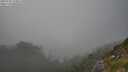 ./images/calvert/foggy-cove/20250730/foggy-cove20250730_173011M.jpg