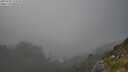 ./images/calvert/foggy-cove/20250730/foggy-cove20250730_173510M.jpg