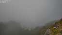 ./images/calvert/foggy-cove/20250730/foggy-cove20250730_174009M.jpg