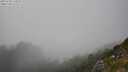 ./images/calvert/foggy-cove/20250730/foggy-cove20250730_174509M.jpg