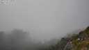 ./images/calvert/foggy-cove/20250730/foggy-cove20250730_175010M.jpg