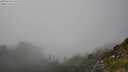 ./images/calvert/foggy-cove/20250730/foggy-cove20250730_175509M.jpg