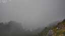 ./images/calvert/foggy-cove/20250730/foggy-cove20250730_180011M.jpg