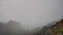 ./images/calvert/foggy-cove/20250730/foggy-cove20250730_180509M.jpg