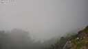 ./images/calvert/foggy-cove/20250730/foggy-cove20250730_181010M.jpg