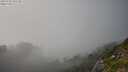 ./images/calvert/foggy-cove/20250730/foggy-cove20250730_181510M.jpg