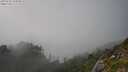 ./images/calvert/foggy-cove/20250730/foggy-cove20250730_182010M.jpg