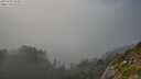 ./images/calvert/foggy-cove/20250730/foggy-cove20250730_182511M.jpg